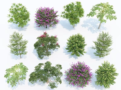 Various Arbor Tree Species with Diverse Green Foliage and Purple Flower Blooms 3d model