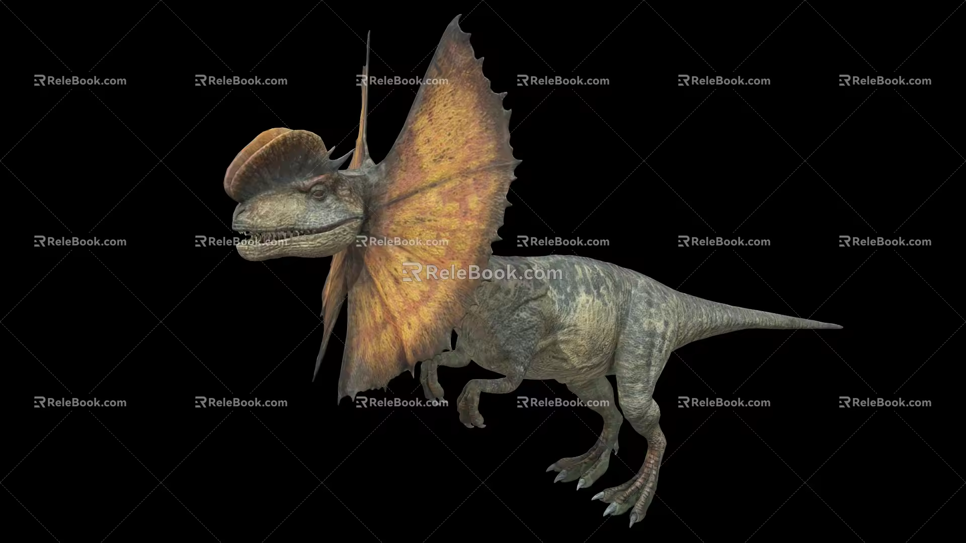 Double Crest Dragon Double Crowned Dragon Dinosaur Reptile Ancient Biology Meat-eating Dinosaur Jurassic Low Face Number Low Model Simple Model Game Movie and TV Level Super Realistic 3d model