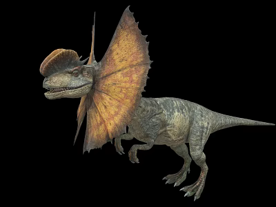 Gray Reptile Dinosaur With Large Brown And Yellow Frill On Black Background 3d model