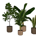 Various Leafy Potted Plants in Textured Ceramic Pots on Neutral Background