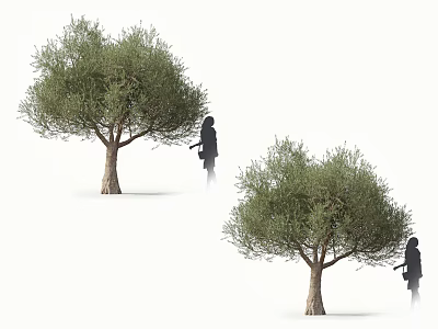 Skilled Silhouette Gardeners Pruning Lush Olive Trees in Outdoor Garden Setting 3d model