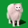 Beautiful White Long Haired Cat Standing On Green Background With Fluffy Fur
