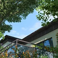 Decorative Outdoor Garden Ornaments With Green Plants Trees And House Balcony Design
