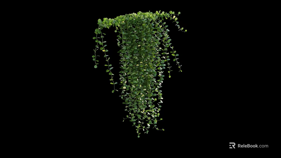 Lush Green Hanging Vines With Dense Trailing Leaves On Black Background 3d model 
