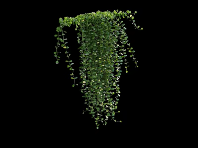 Lush Green Hanging Vines With Dense Trailing Leaves On Black Background 3d model