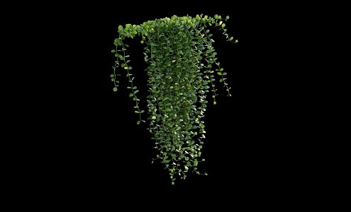 Modern Vine Man Wall Creeper 3d model