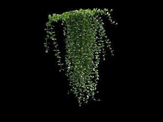 Modern Vine Man Wall Creeper 3d model