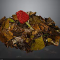 Vibrant Red Berry Standing Out In Autumn Leaf Pile On Natural Forest Floor