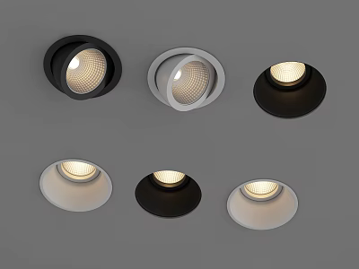 Modern Recessed Downlights and Spotlights in Black and White for Home Interior Lighting 3d model