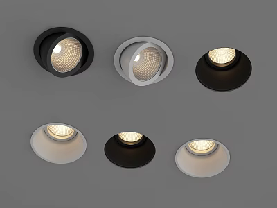 Downlight Spotlight 3d model