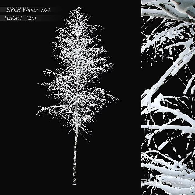 Winter Garden Feature With Snow Covered Tree And Snowy Branch Details 3d model 