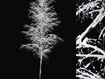 Winter Garden Feature With Snow Covered Tree And Snowy Branch Details 3d model