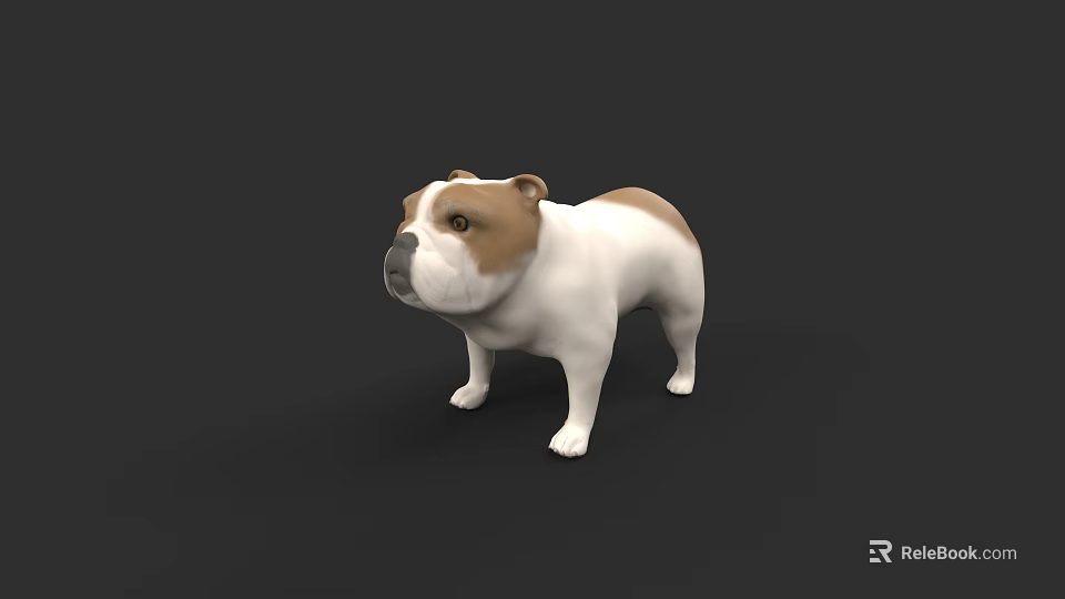 Realistic 3D Bulldog Model With White And Brown Fur Standing On Black Background 3d model 