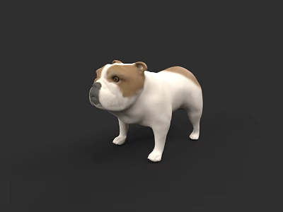 Realistic 3D Bulldog Model With White And Brown Fur Standing On Black Background 3d model