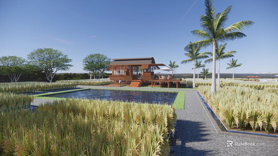 Rural Landscape Featuring Lush Rice Fields Wooden House Pool Palm Trees Stone Path And Blue Sky 3d model 