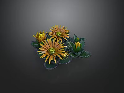 Yellow Flowering Plants With Green Leaves Radiant Petals And Buds On Dark Background 3d model