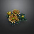 Yellow Flowering Plants With Green Leaves Radiant Petals And Buds On Dark Background