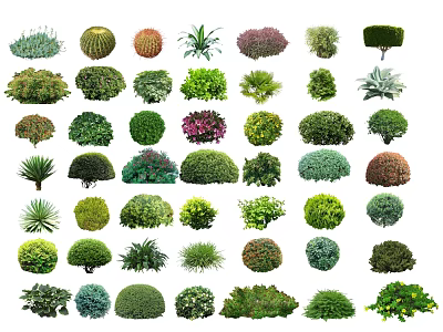 Various Types of Shrubs with Different Shapes and Colorful Foliage for Garden Landscaping 3d model
