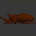Orange Shiny Beetle with Intricate Horns and Legs on Dark Surface