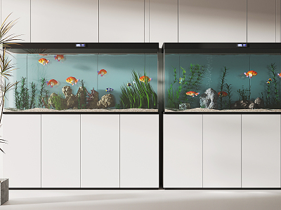 Modern fish tank model