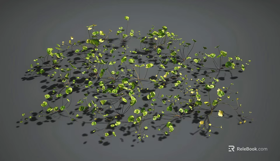 Dense Green Plants With Small Leaves And Natural Shadow On Gray Background 3d model 