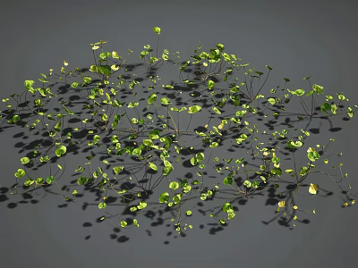 Dense Green Plants With Small Leaves And Natural Shadow On Gray Background 3d model