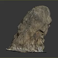 Natural Wood Stone with Moss Covered Rough Surface and Natural Rock Texture