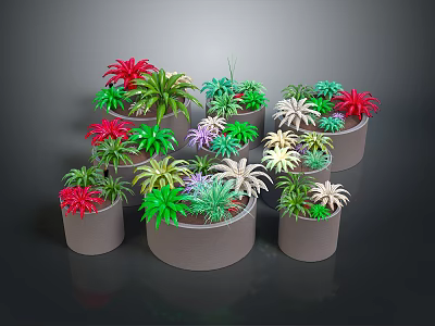Variety of Potted Plants with Colorful Leaves in Gray Pots 3d model