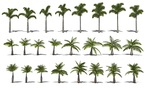 Modern Tree Tropical Landscape Plants 3d model