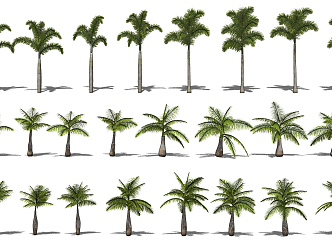 Modern Tree Tropical Landscape Plants 3d model