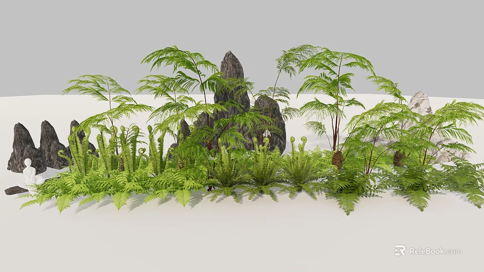 Lush Green Ferns and Various Herbs with Natural Rocks in Garden Scene 3d model 