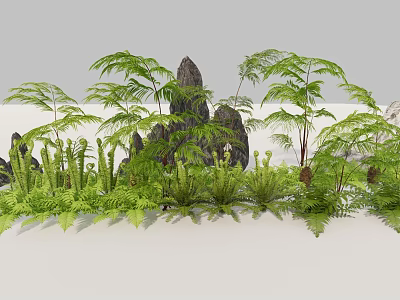 Lush Green Ferns and Various Herbs with Natural Rocks in Garden Scene 3d model