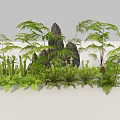 Lush Green Ferns and Various Herbs with Natural Rocks in Garden Scene