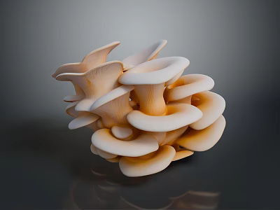 Fan Shaped Light Beige Mushrooms Clustered Together On Dark Surface With Shiny Reflection 3d model