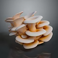 Fan Shaped Light Beige Mushrooms Clustered Together On Dark Surface With Shiny Reflection