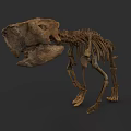 Reptile Skeleton Fossil Display With Complete Bone Structure And Prehistoric Features 3d model