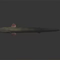 Slender Aquatic Animal with blue silver scales red tail on dark background and clear reflection