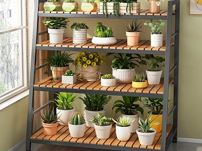 Multi Tiered Garden Shelf with Various Potted Plants Succulents and Flower Pots by Window 3d model