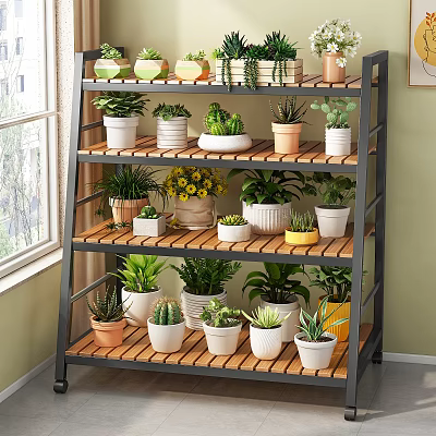 Multi Tiered Garden Shelf with Various Potted Plants Succulents and Flower Pots by Window 3d model