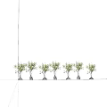 Modern Tree Pool Creative Tree Pool 3d model