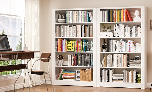 Modern Study Bookshelf 3d model