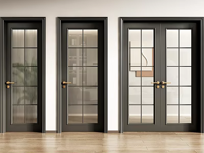 Black Double Doors With Glass Panels And Gold Handles In Modern Home Interior 3d model
