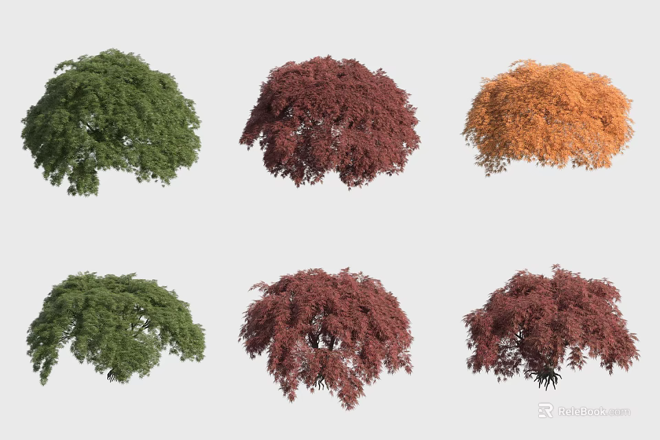 Colorful Shrubs In Various Green Red And Orange Hues For Garden Landscaping 3d model 