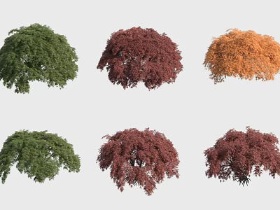 Colorful Shrubs In Various Green Red And Orange Hues For Garden Landscaping 3d model