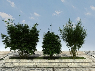 Modern Bamboo Landscape Bamboo Plants 3d model