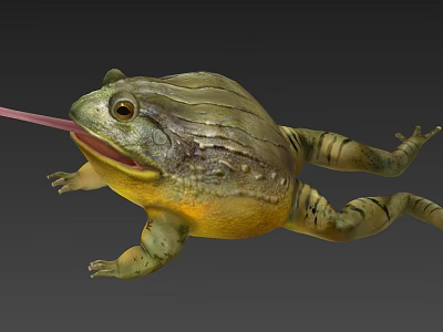 Reptile With Green Yellow Skin Extended Tongue In Dynamic Crawling Posture 3d model