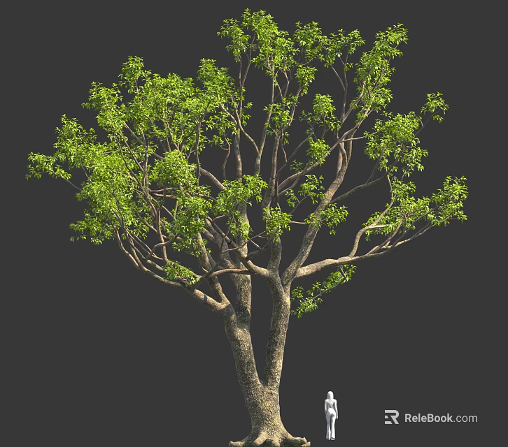 Large Tree With Thick Trunk And Lush Green Leaves With Small Figure Under 3d model 