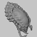 Detailed 3D Monster Skull Model With Sharp Fangs And Bone Texture