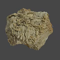 Natural Rock Sample With Fossilized Structures And 1cm Scale Measurement 3d model
