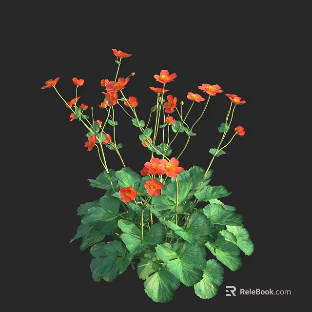 Vibrant Cluster of Orange Flowers with Green Leaves and Long Stems Against Black Background 3d model 